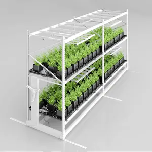 Kapalı mikro yeşiller çok katmanlı 4ft X 8ft dikey hidroponik Ebb ve akış mobil büyümek raf sistemi bahçecilik büyümek raf