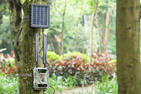 Caméra de chasse 4G cellulaire étanche IP66 toutes saisons, caméra de vision nocturne haute résolution 24MP 1080P FHD