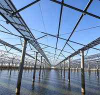 Système de rails solaires en acier Q235 haute performance galvanisé à chaud pour l'installation en zone ouverte en Arabie Saoudite et dans les pays du Golfe