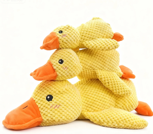 Çevre dostu tavuk lezzet köpek oyuncak peluş vokal yavru ayı ile Teddy Corky Molar diş Pet Bichon öz-bite çözme kapalı kullanım - Product Image 1