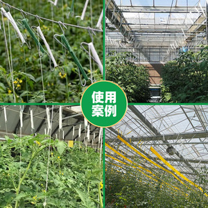 Ganchos para plántulas, ganchos automáticos para sujeción de plántulas de tomate, pepino, pimiento y plantas trepadoras, acero galvanizado en caliente - Product Image 3
