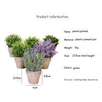 Arrangement de plantes succulentes lavande promotionnelles en pot pour la décoration de la maison, du bureau, du salon, de la cuisine et de la salle de réunion