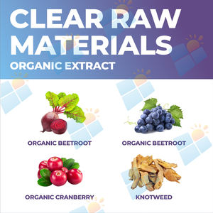 Suplemen Kapsul Resveratrol Vegan Alami Murni 1600mg SUNI OEM/ODM Label Pribadi untuk Dukungan Kekebalan Tubuh Grosir - Product Image 5