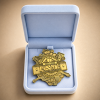 Badge métallique personnalisé en relief, insigne 3D, forme sur mesure, épingle de revers en alliage de zinc, artisanat haute précision pour souvenir d'entreprise