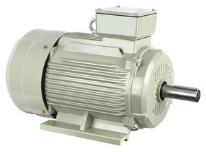 Motor Eléctrico Asíncrono Trifásico de Alta Eficiencia Serie IE2, 37KW, 2 Polos, Carcasa de Hierro/Aluminio, Cable de Cobre, 380V, 50/60Hz - Product Image 6