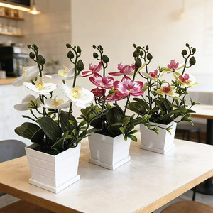 Orchidée Phalaenopsis Artificielle Paulon en Pot Carré de 27 cm, Plante d'Intérieur en Plastique Souple pour Décoration de Café, Maison ou Bureau - Product Image 2