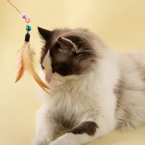 Manji Eco Friendly Feather Dog Cat Animal Playing Interactive Training Teething Palm Leaf Pet Toys