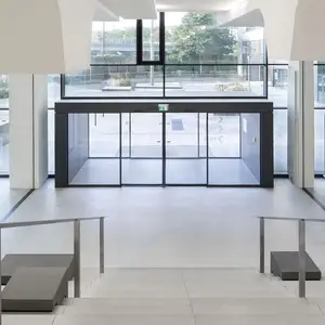 Cadre de porte en verre moderne en acier inoxydable avec style coulissant Fournisseur professionnel pour porte d'entrée de bâtiment d'hôtel