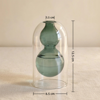 Diffuseur d'huiles essentielles en verre vide, double couche, en forme de gourde, style nordique minimaliste, pour décoration intérieure