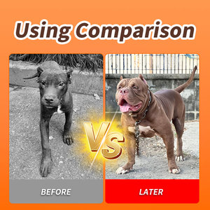 Thức ăn bổ sung tăng cường cơ bắp cho chó, giàu protein cao cấp |   Thức ăn bổ sung cho thú cưng có logo riêng, giúp tăng cường sức mạnh, tăng trưởng & hiệu suất - Product Image 5