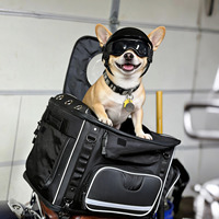 Casco y Gafas de Motocicleta para Mascotas, Perros Pequeños y Gatos, Gorra de Seguridad con Lentes para Paseos al Aire Libre