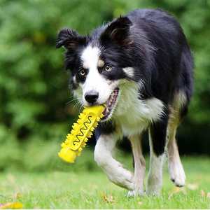 Vente chaude Jouet à mâcher pour chien en TPR écologique moderne, jouet anti-fuite pour nourriture pour animaux de compagnie, bâtonnet à mâcher, nettoyage des molaires, brosse à dents - Product Image 6