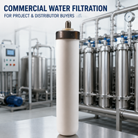Cartouche filtrante en céramique de 10 pouces en gros, élément de remplacement pour systèmes de filtration d'eau commerciaux