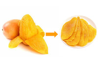 Warmtepomp Hoge Efficiëntie RVS Schoteldroger Continue 300-2400kg Capaciteit Groente- en Fruitdroogapparatuur