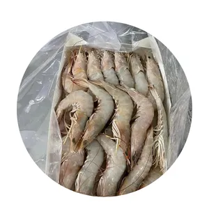 กุ้งแช่แข็งคุณภาพสูงอาหารทะเลสดแช่แข็งสำหรับฤดูใหม่กุ้งแช่แข็งสำหรับการส่งออก