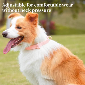 Accesorios modernos personalizados para mascotas, nuevo <span class=keywords><strong>Collar</strong></span> ajustable de cuero para perros, <span class=keywords><strong>Collar</strong></span> impermeable de <span class=keywords><strong>PVC</strong></span> resistente al olor para mascotas - Product Image 6