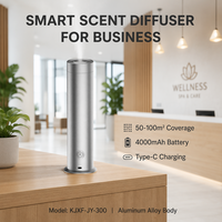 Diffuseur de parfum d'hôtel en alliage d'aluminium 100 ml, télécommande, minuterie 8H, anti-séchage, batterie 4000 mAh, 150-300 m³, OEM, noir, argent