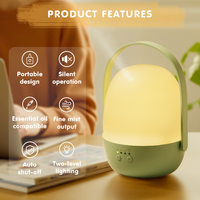 Diffuseur d'arômes portable OEM ODM d'usine, diffuseur d'huiles essentielles ultrasonique USB 150ML, humidificateur d'air rechargeable avec minuterie