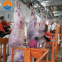 Ligne d'abattage de bovins halal, équipement d'abattage complet en acier inoxydable automatique pour abattoir de bovins, solution clé en main