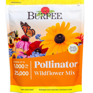 ดอกไม้ป่า Burpee 25,000 1ถุงผสมเกสรดอกไม้สำหรับสวนผสมเกสร18ชนิดไม่ใช่จีเอ็มโอ - Product Image 1