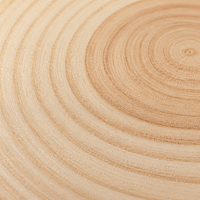 Collection de tranches de bois pour loisirs créatifs de Noël pour débutants, avec gabarits de croquis pré-imprimés, supports vierges pour décorations de table, pour la peinture manuelle