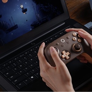 Control de Juego Inalámbrico 8bitDo Orion Edición Juvenil de 2.ª Generación para Android, PC y Steam con Efecto Hall - Product Image 2