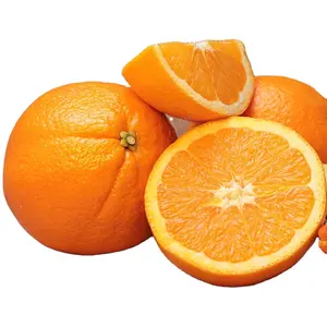 % 100% doğal taze narenciye donanma turuncu, Valencia turuncu, narenciye tedarikçileri ihracat için hazır, fiyat tercihli