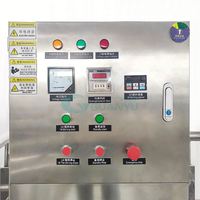 Mélangeur Homogénéisateur Automatique 1000L pour la Fabrication de Mayonnaise, Ketchup, Shampoing, Savon Liquide, Lotion Corporelle et Crème