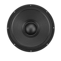 151008DS 600W porte haut-parleur pièce de rechange néodyme Subwoofer système de son professionnel basse haut-parleur Subwoofer