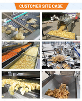 Volledig automatische industriële productielijn voor diepvriesfrieten van 1000 kg/uur, SUS304 commerciële machine voor aardappelchips en cassave-stokjes