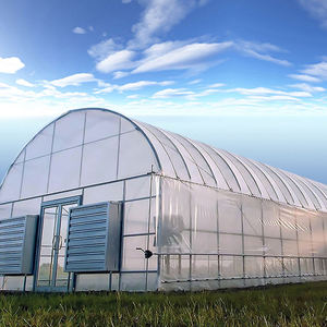 Low <strong>Cost</strong> Commercial Farming Large PE Plastic Film Single-Span Agricultural Greenhouse with Metal Frame Structure High <strong>Tunnel</strong> - Product Image 2