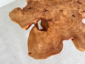 European Poplar Burl Live Edge Round Slab <strong>Table</strong> - Natural Cross-Section <strong>Wood</strong> <strong>Table</strong> <strong>Top</strong> for Luxury Furniture - Product Image 3