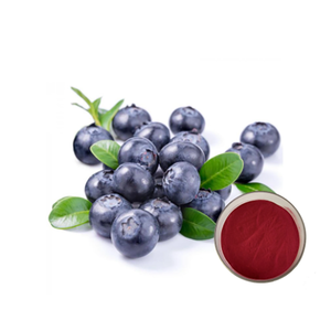 ผงสกัดจากบิลเบอร์รี่ <span class=keywords><strong>25</strong></span>% ผงแอนโทไซยาไนดิน สารสกัดจากบิลเบอร์รี่ แอนโทไซยาไนดิน - Product Image 1