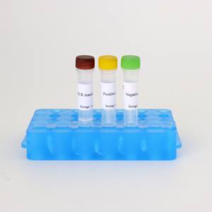 50t מדבק equine דלקת cem ערכת פלורסנט pr-20 ℃ אחסון וטרינרי - Product Image 2