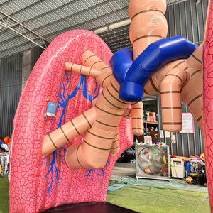 Riesige Lungenkrebs bewusstsein Schlauchboote Modell Lunge Aufblasbare Ausstellung Event Gesundheits messen-Herz Gehirn Colon Nieren Leber Brust - Product Image 2