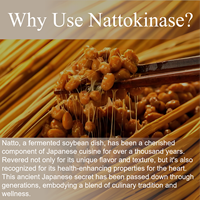 Complément de Nattokinase OEM 8 000 FU par Portion, 240 Capsules Végétales, Force Maximale, Enzyme et Soutien Cardiaque