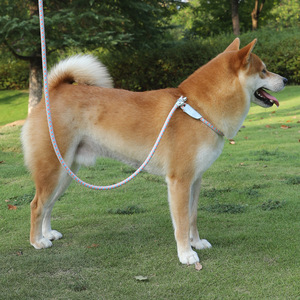 Set Tali & Kalung Anjing Tahan Lama Berwarna-warni, Tali Pengikat Hewan Peliharaan untuk Latihan Jalan-jalan di Luar Ruangan - Product Image 2