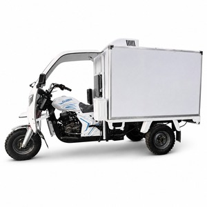 Triciclo de Carga Refrigerado de 250CC a Gasolina con Caja Aislada, Capacidad de Carga de 500KG, Triciclo de Tres Ruedas para Entrega de Carne Fresca - Product Image 1