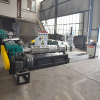 Mini ligne en plastique de machine de granulateur de pelletisation SJ90 pour la chaîne de production en plastique d'extrudeuse de pelletisation d'ABS 100 kg/h d'ANIMAL FAMILIER de PE de pp
