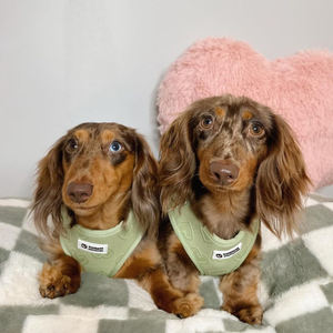 Arnés <span class=keywords><strong>Original</strong></span> para Perro de Pecho Suave de Malla con Corazón de Terciopelo Rosa, Logo de Goma Personalizado, Collar Ajustable, Soporte para Bolsas de Excremento y Correas para Mascotas - Product Image 6