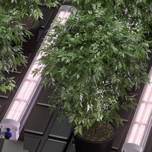 ספקטרום מלא 150w הוביל לגדול אור תחת חופה אמצע אדום להוסיף עם סגסוגת אלומיניום אדום רחוק ip66 עמיד למים 0-10v שליטה - Product Image 4