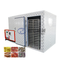 Séchoir à four industriel déshydrateur alimentaire machine séchoir machines de séchage de fruits déshumidificateur sécheur de légumes