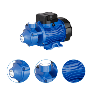 DAYUAN ad alta pressione 0.16hp 0.125kw 1 pollice 220V 50HZ pompa dell'acqua elettrica periferica a bassa pressione pompa dell'acqua pulita di superficie - Product Image 2