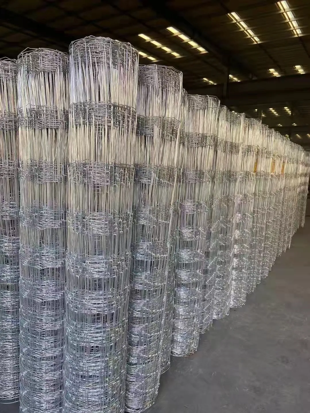 Hot Selling Galvanized Welded Wire Mesh 5 Foot Cattle And Sheep Fence Stainless Steel Welded Wire Mesh