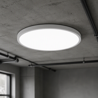 En stock, homologué ETL, panneau lumineux LED rond ultra fin de 12 pouces, luminaire LED à intensité variable 5CCT, plafonnier LED pour bureau, maison, commerce