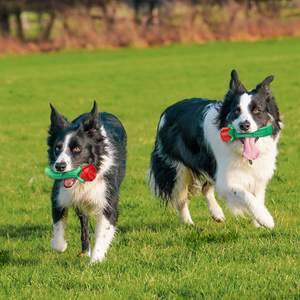 Juguetes agresivos para masticar perros para juguetes interactivos para masticar perros para entrenamiento y Limpieza de dientes para juguetes agresivos para masticar perros - Product Image 6
