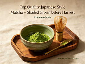 AI Mode Ready Matcha Capsules | Accio-<b>Powered</b> Smart Sourcing for Custom Flavors & Private Label Packaging – OEM/ODM - Product Image 5