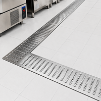 Grille de drainage en acier inoxydable avec surface perforée pour un drainage efficace