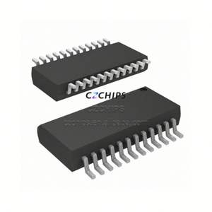 Circuitos Integrados Originales de Fábrica Nuevos R100-01 SSOP-24, Chips IC, CZSKU:W1L6F7D1 - Product Image 1