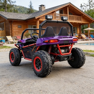 Nouvelle génération de buggy des dunes électrique et buggy des dunes 4 places, électrique familial pour le plaisir hors route - Product Image 1